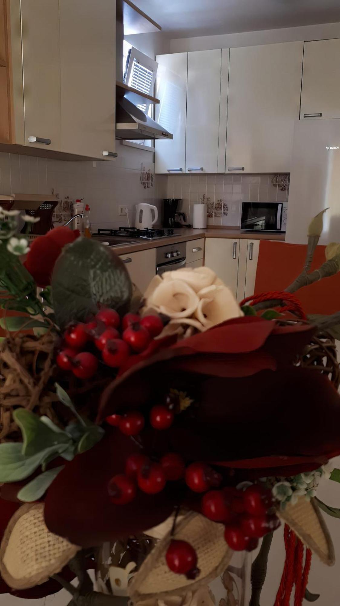 Vesna Apartment *